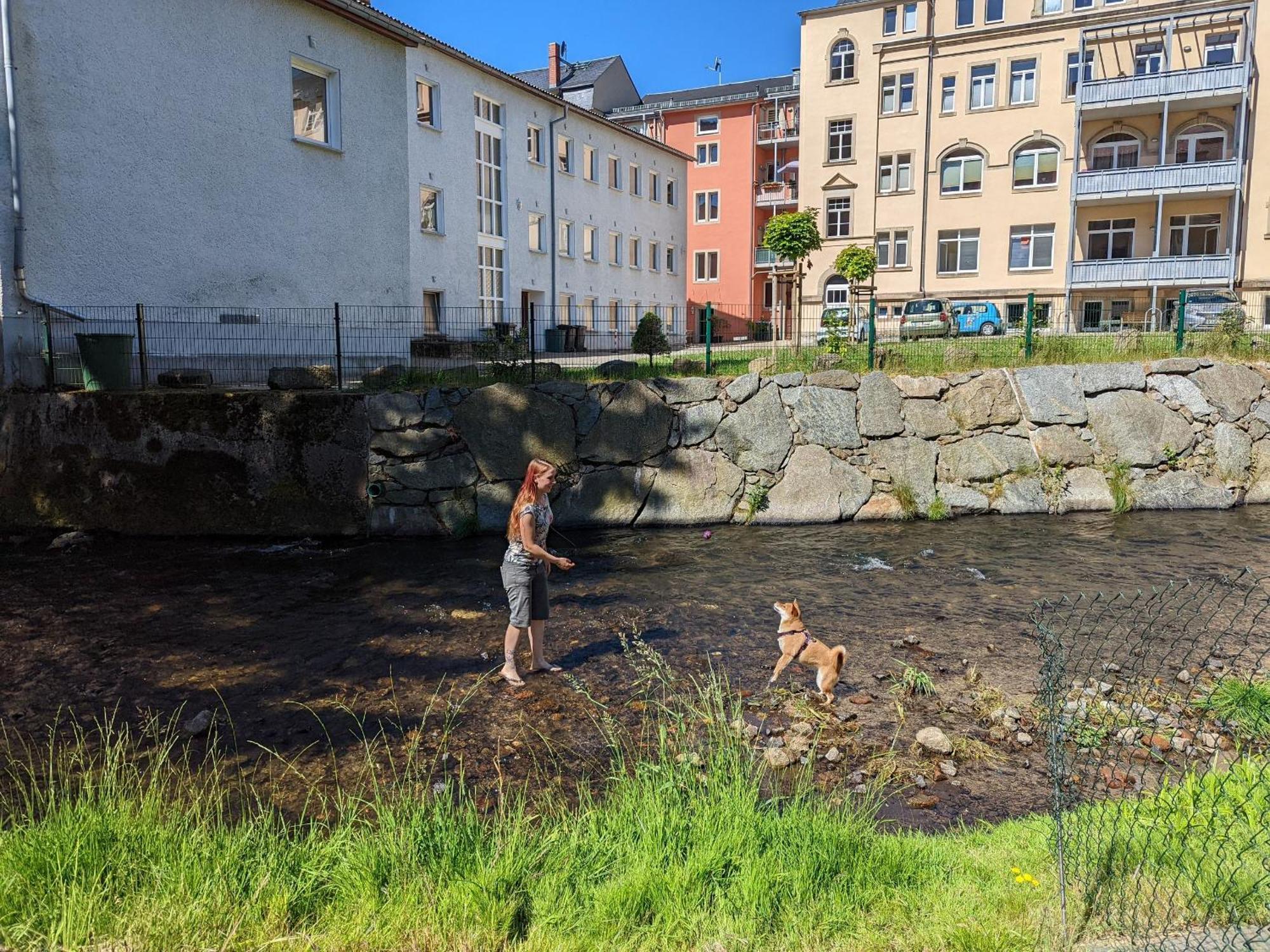 Zi2 - Urlaubsmagie - Whirlpool, Sauna Und Garten Lejlighed Sebnitz Eksteriør billede