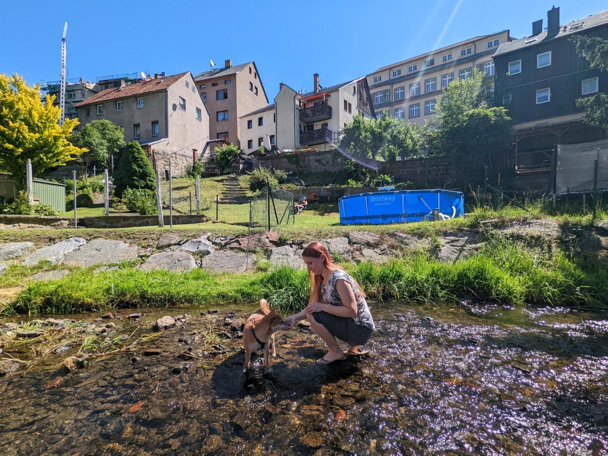 Zi2 - Urlaubsmagie - Whirlpool, Sauna Und Garten Lejlighed Sebnitz Eksteriør billede