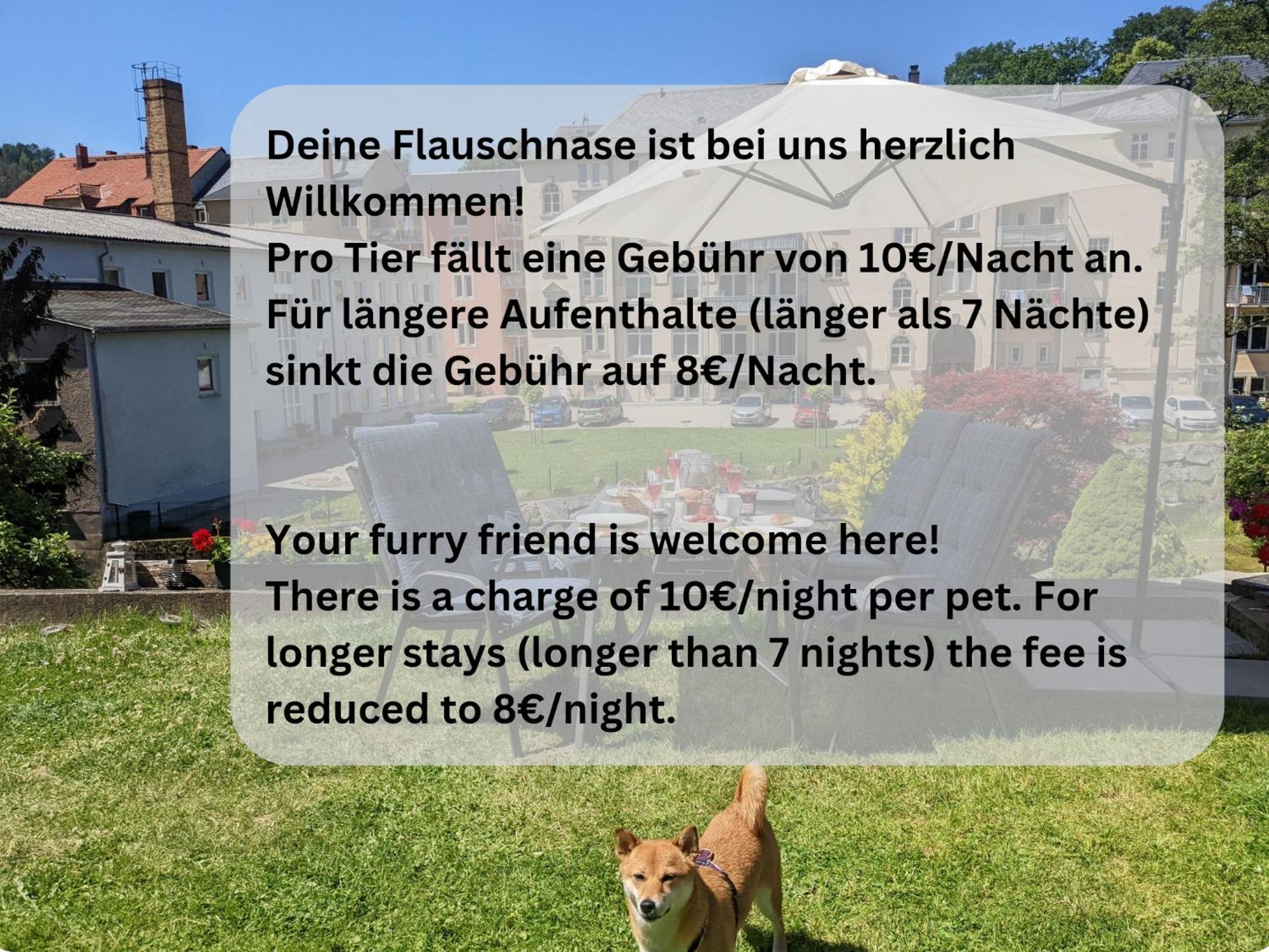 Zi2 - Urlaubsmagie - Whirlpool, Sauna Und Garten Lejlighed Sebnitz Eksteriør billede